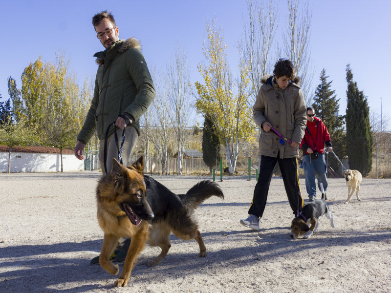 Adiestramiento canino en Zaragoza