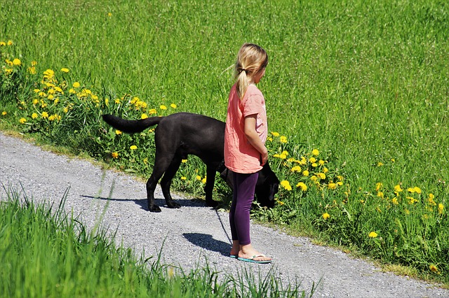 Perros y niños para buena convivencia