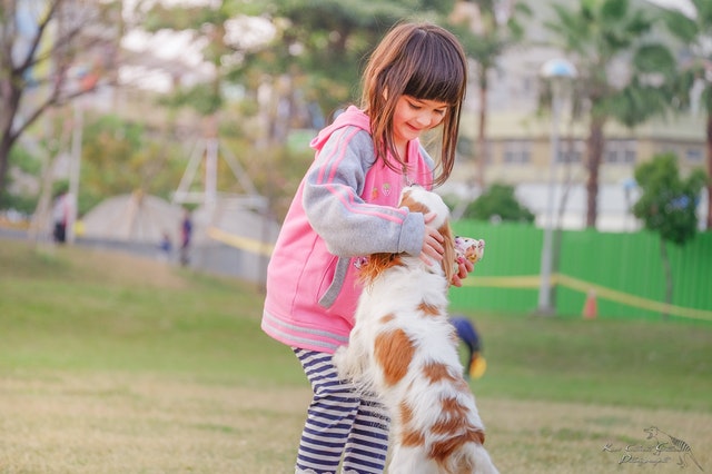 Qué hacer si el perro muerde a un niño