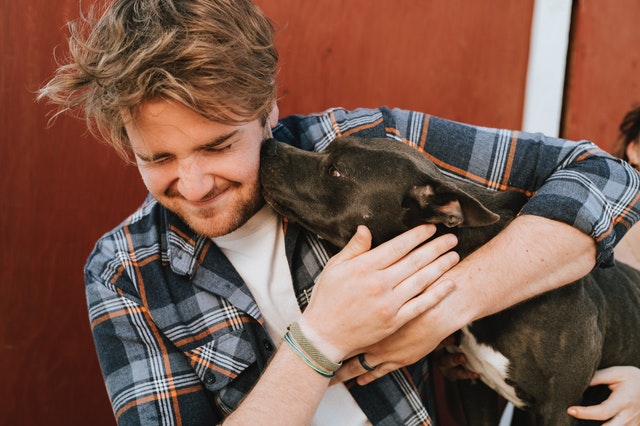 Como hacer para que el perro no ladre