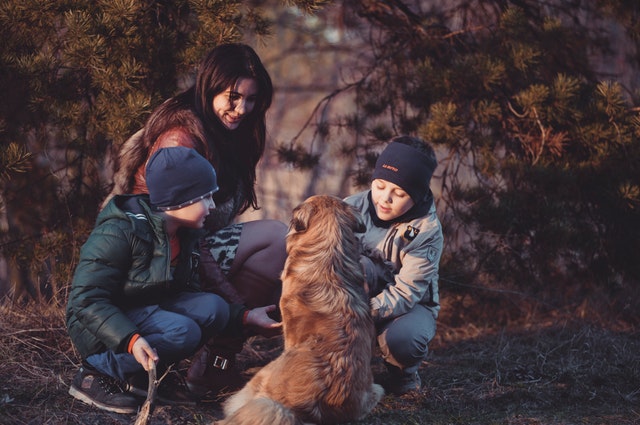 Perros y niños, ¿cómo educarlos?