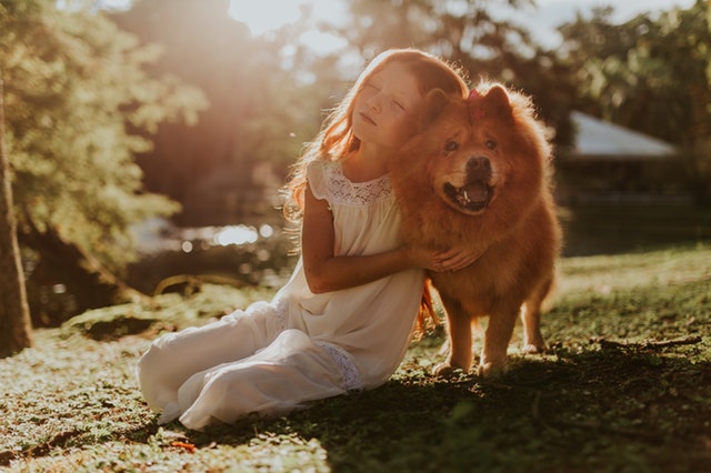 Perros y niños, ¿cómo educarlos?