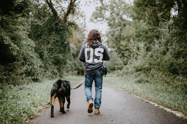 Consejos para pasear al perro