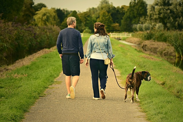 Trucos para el adiestramiento canino | Dogarden Zaragoza